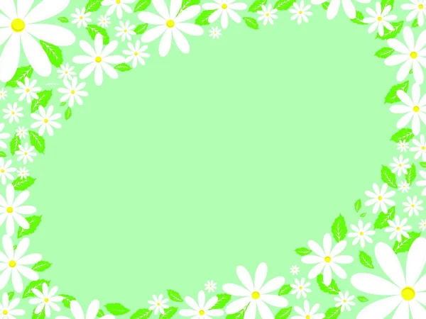 Gänseblümchen Voller Blüte — Stockfoto