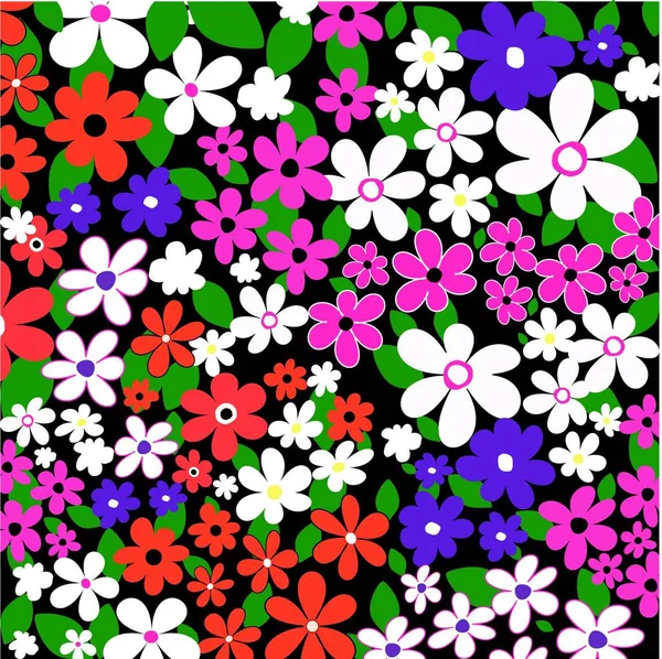 Крупним Планом Красиві Літні Квіти — стокове фото