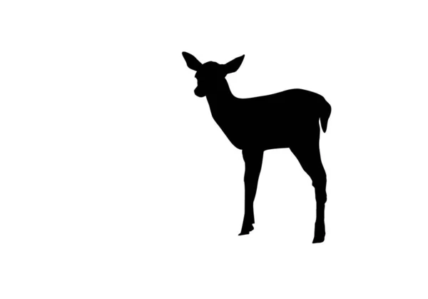 Silhouette Goat — Stock Photo, Image