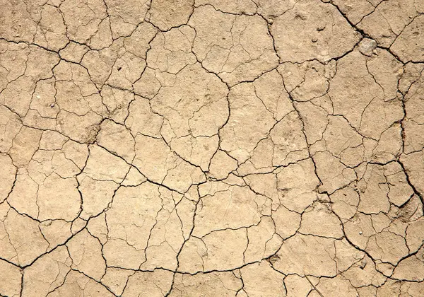 Cracked Mud Natural Abstract Background — 스톡 사진