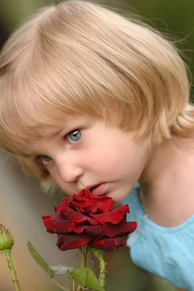 Menina Cheira Uma Rosa — Fotografia de Stock