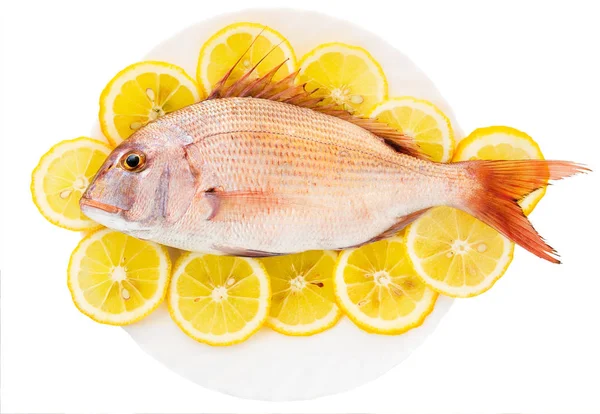 Dorado Encuentra Ambiente Círculos Limón Sobre Fondo Blanco —  Fotos de Stock