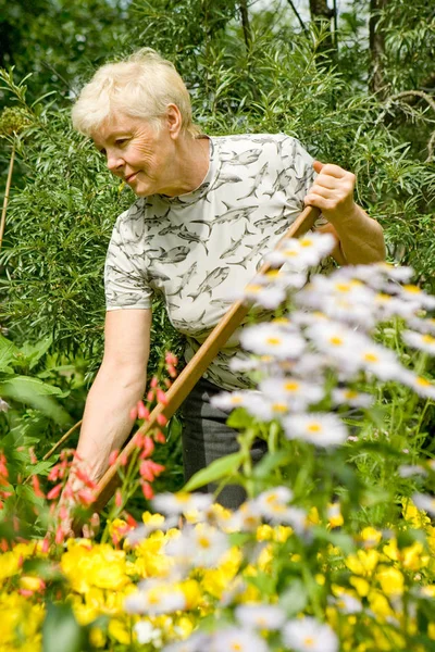 Mulher Idosa Trabalha Jardim Entre Flores Dia Ensolarado Verão — Fotografia de Stock