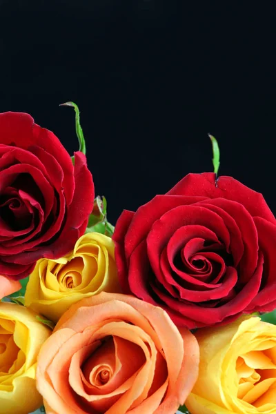 Rosas Rojas Amarillas Color Melocotón Con Fondo Negro —  Fotos de Stock