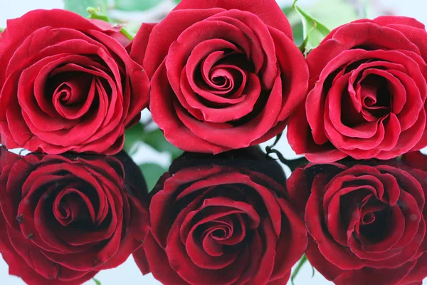 Κόκκινα Τριαντάφυλλα Πέταλα Λουλουδιών — Φωτογραφία Αρχείου