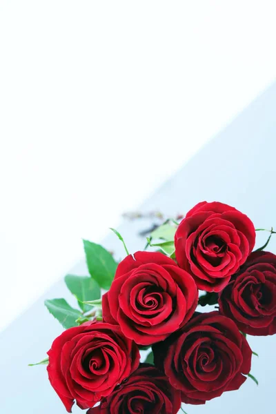 Trzy Czerwone Róże Białym Tle Powierzchni Odblaskowej — Zdjęcie stockowe