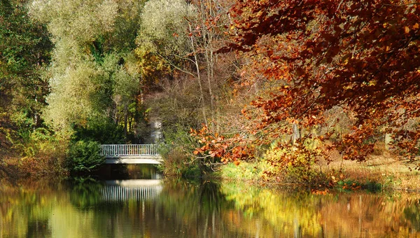 Красивый Осенний Пейзаж Фоне — стоковое фото