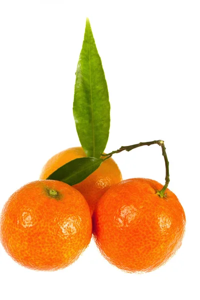 Mandarinas Naranja Frescas Exentas —  Fotos de Stock
