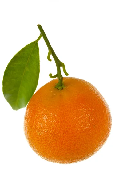 Свежие Оранжевые Мандарины Освобождены — стоковое фото