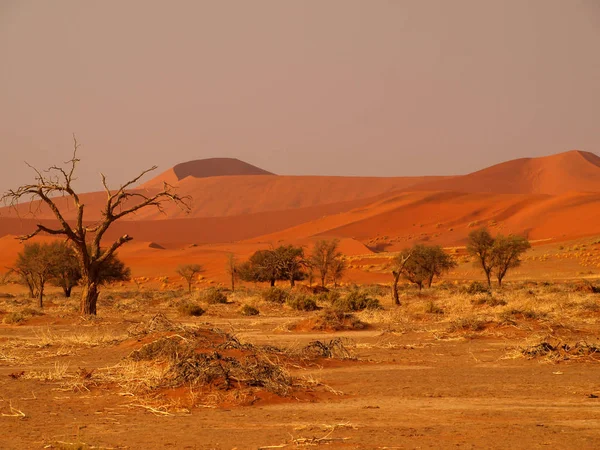 Paisagem Deserto Namíbia — Fotografia de Stock
