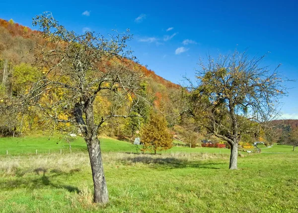 Schöne Herbstlandschaft Auf Hintergrund — Stockfoto