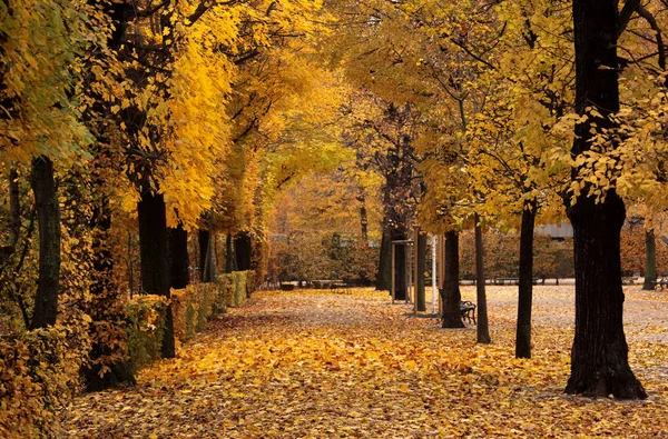 Schöne Herbstlandschaft Auf Hintergrund — Stockfoto