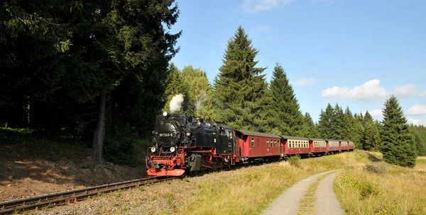 Encontro Harz — Fotografia de Stock