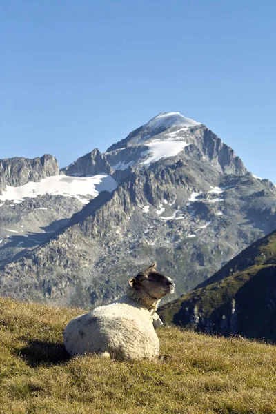 Malerischer Blick Auf Die Schöne Alpenlandschaft — Stockfoto