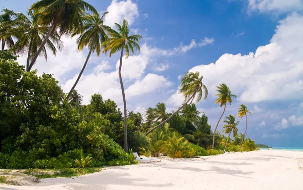 Paraíso Vacaciones Maldivas Isla — Foto de Stock