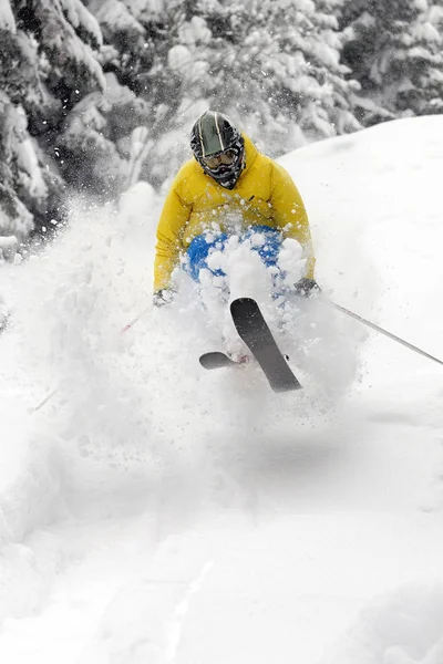Χειμερινά Σπορ Σκιέρ Σκι — Φωτογραφία Αρχείου