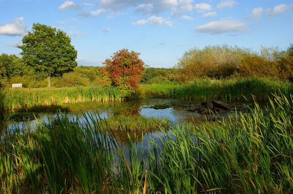 Schöne Aussicht Auf Die Natur — Stockfoto