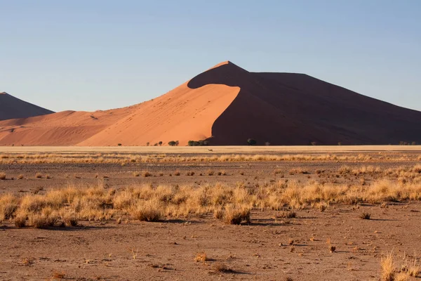 Krajobraz Pustyni Namibia — Zdjęcie stockowe