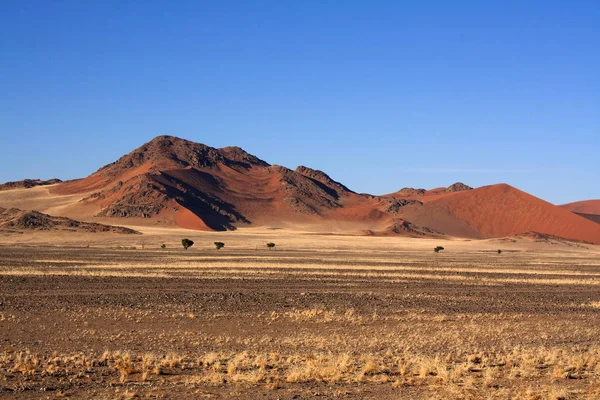 ナミビアの砂漠の風景は — ストック写真