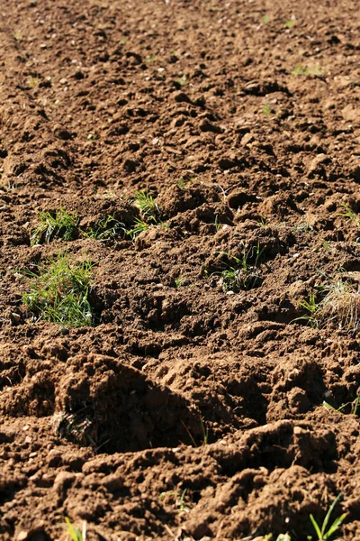 Textura Del Suelo Tierra — Foto de Stock