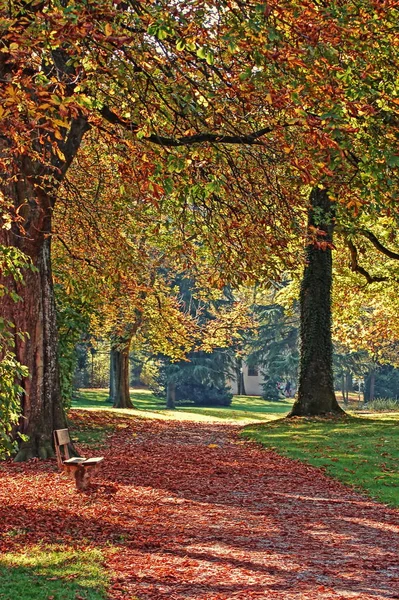 Schöne Herbstlandschaft Auf Hintergrund — Stockfoto