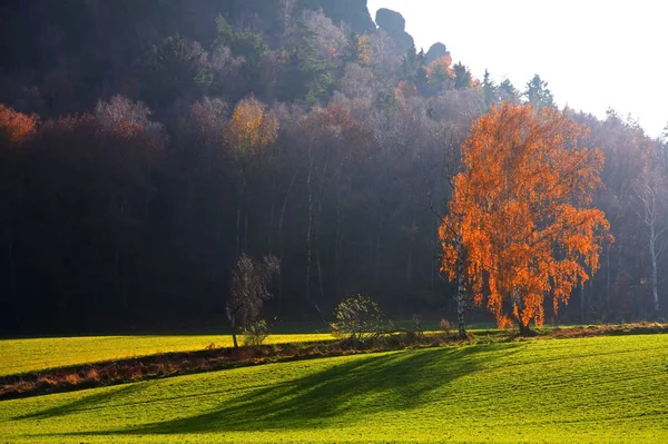 Vacker Utsikt Över Naturen Landskap — Stockfoto