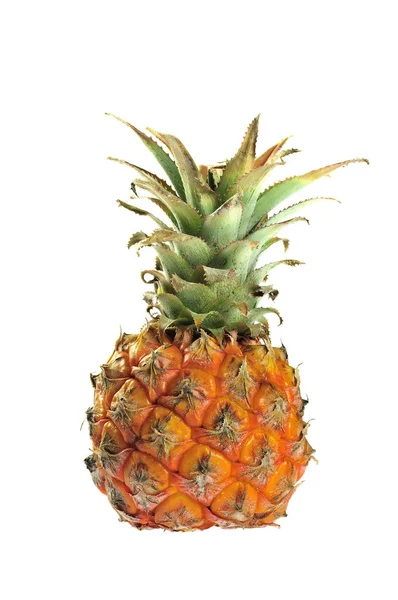 Ananas Tropiska Sommarfrukter — Stockfoto