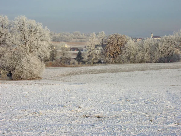 Панорама Зимней Деревни — стоковое фото