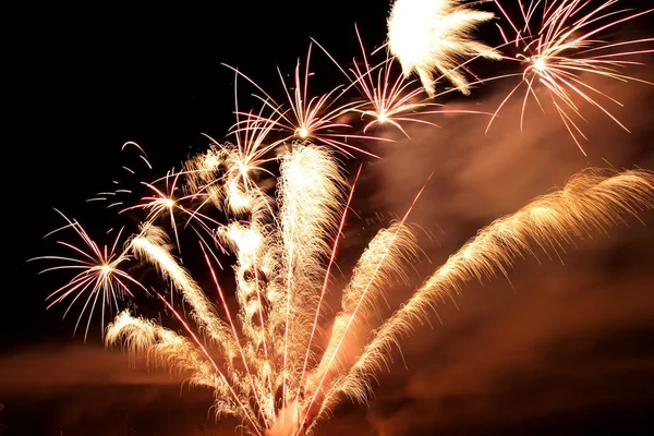 Fuegos Artificiales Vacaciones Explosión Cielo Nocturno Celebración — Foto de Stock