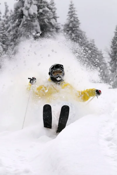 Esportes Inverno Esqui Esquiador — Fotografia de Stock