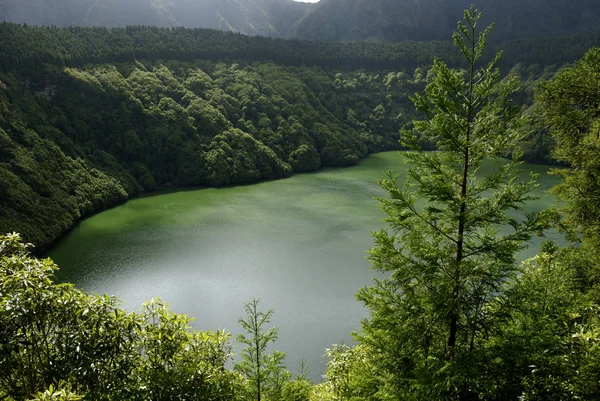 Pittoresk Uitzicht Natuur — Stockfoto