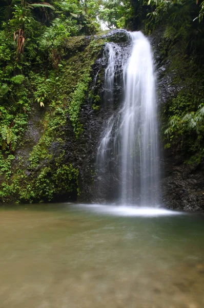 Cascata Nella Foresta Naturale Paesaggio — Foto Stock