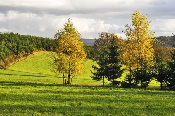 Schöne Herbstlandschaft Auf Hintergrund — Stockfoto