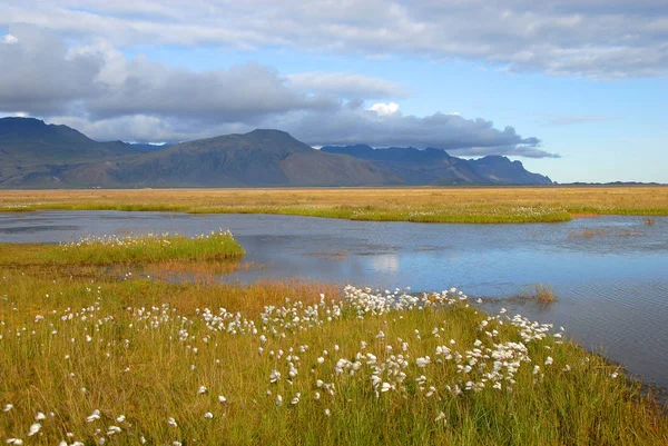 Vacker Utsikt Över Naturen Landskap — Stockfoto