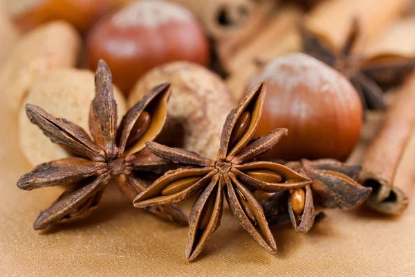 Star Anise Cinnamon Stick — Stock Photo, Image