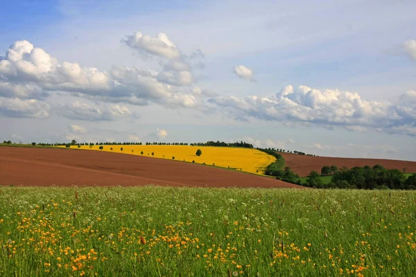 Vista Pitoresca Bela Paisagem Primavera — Fotografia de Stock