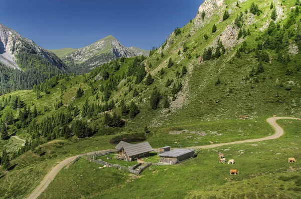 Mountain Farm Carinthia — Stockfoto