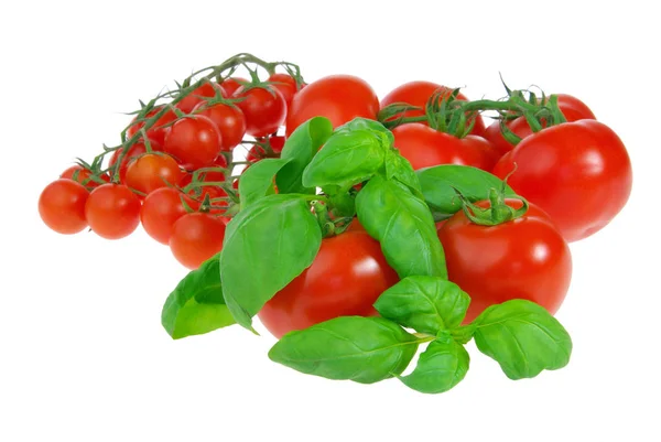 Tomato Basil Tomato Basil — Stock Photo, Image