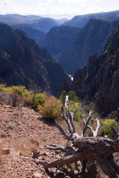 Hermosa Vista Naturaleza Escena — Foto de Stock