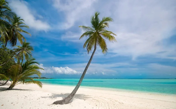 Increíble Vista Playa Tropical — Foto de Stock