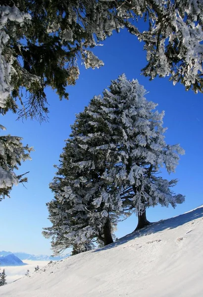 Vista Panorâmica Paisagem Majestosa Dos Alpes — Fotografia de Stock