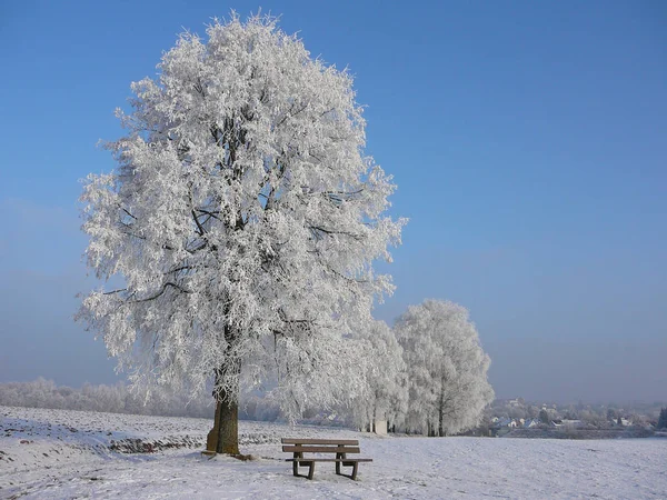 Soleado Mundo Invernal Con Bancos Vacíos — Foto de Stock