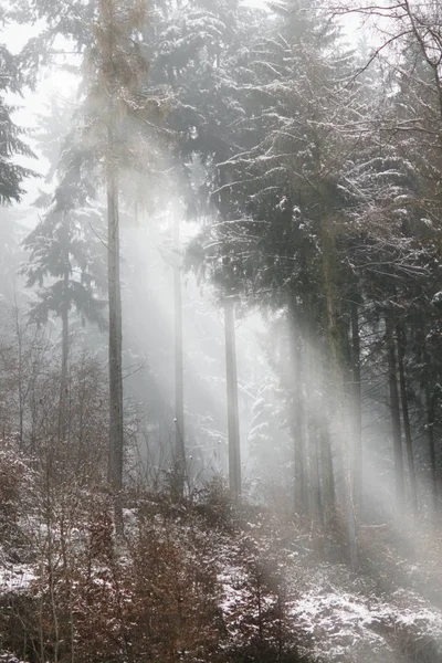 Bela Vista Paisagem Inverno — Fotografia de Stock