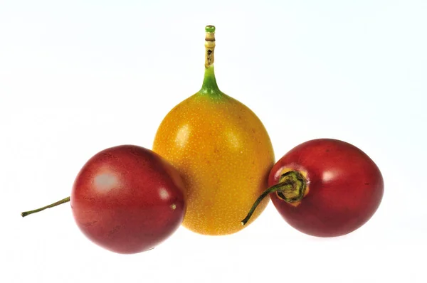 Berries Closeup Shot Konsep Makanan Sehat — Stok Foto
