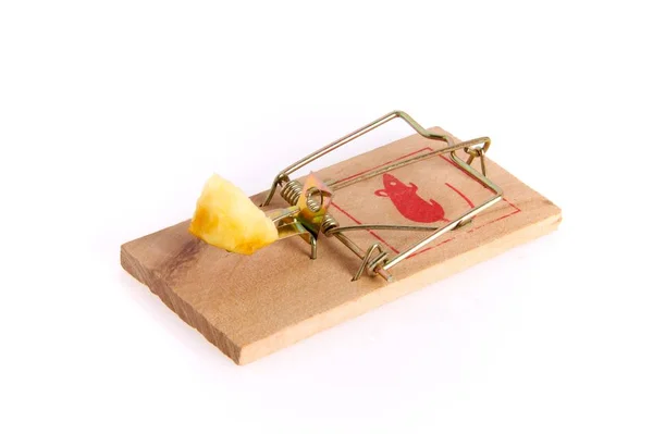 Mousetrap Mechanical Trap Animals — Stock Photo, Image