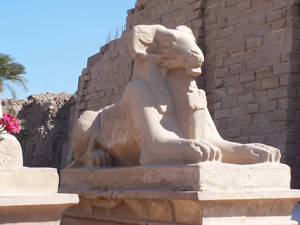 Vor Einem Tempel — Stockfoto