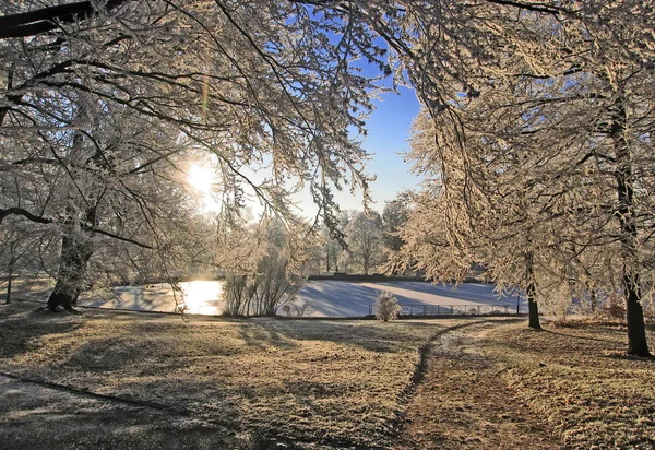 Invierno Parque — Foto de Stock