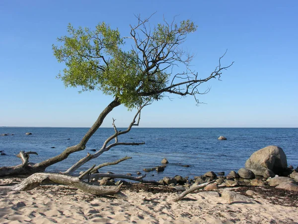 Blick Auf Eine Wunderschöne Meeresküste — Stockfoto