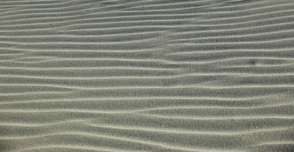 砂漠の砂丘 — ストック写真