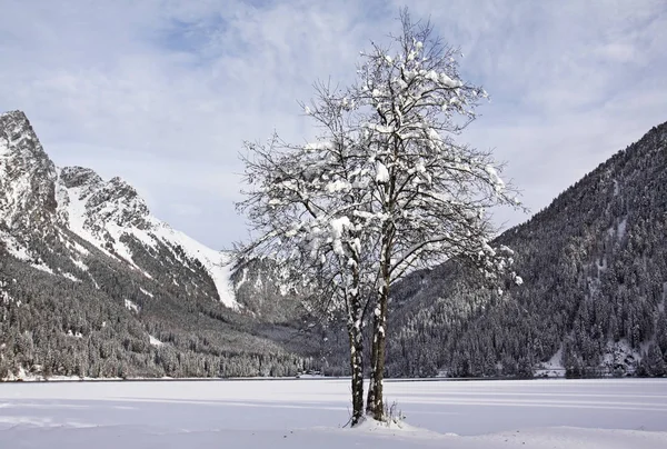 Malowniczy Widok Pokryty Śniegiem Krajobraz Zimowy — Zdjęcie stockowe